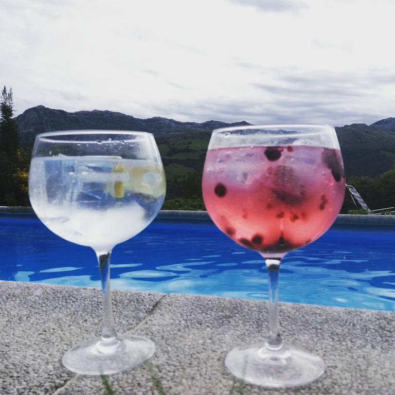 Aire De Ruesga Hotel Kültér fotó